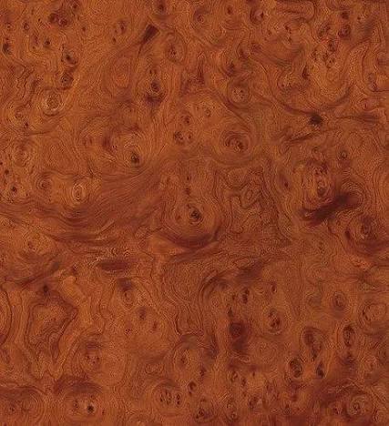 Burl Veneer 2